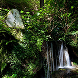 名水百選「猿庫の泉」